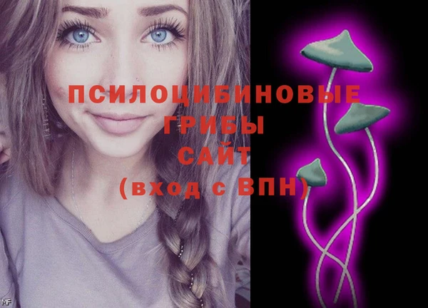 ПСИЛОЦИБИНОВЫЕ ГРИБЫ Тавда
