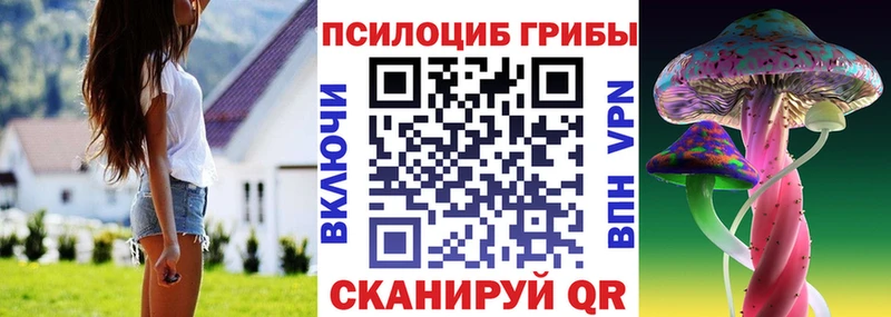продажа наркотиков  Каменск-Шахтинский  Псилоцибиновые грибы Magic Shrooms 